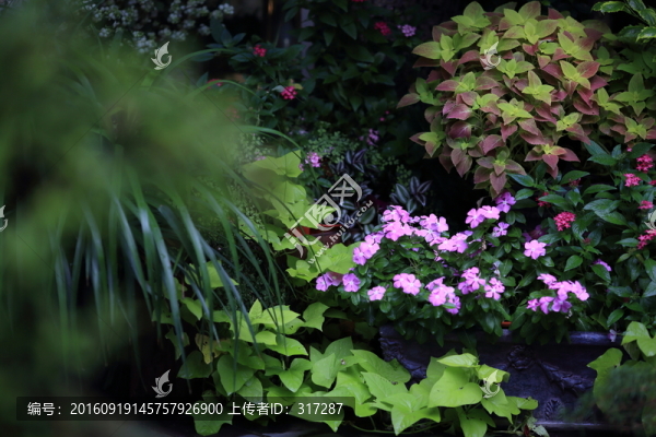 花藝