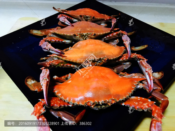 大閘蟹