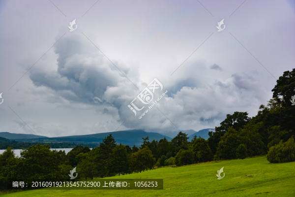野外