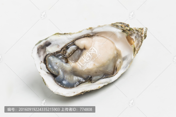 生蠔