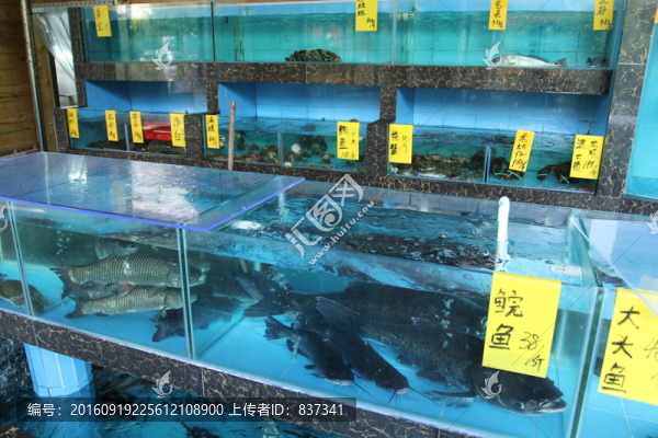 海鮮池