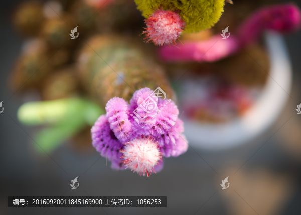 絨球