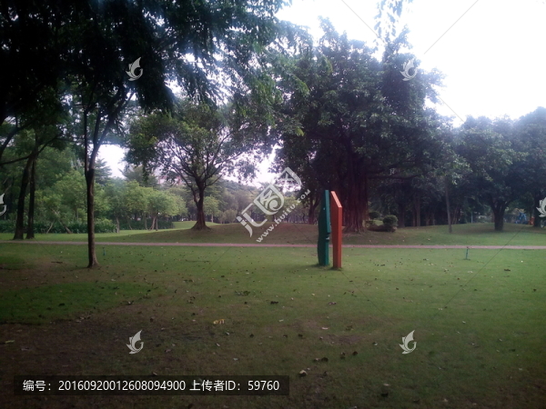 公園草坪
