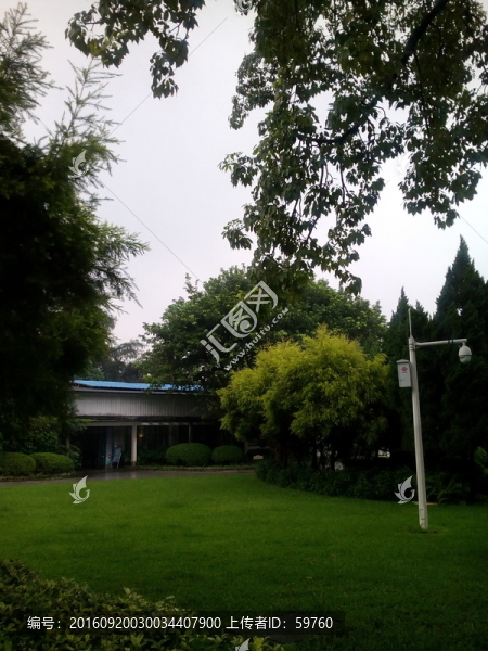 公園綠草坪