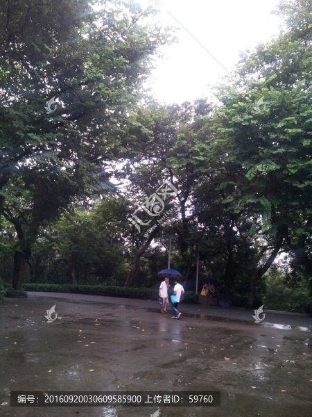 雨中公園