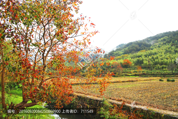 塔川秋日田園風(fēng)光
