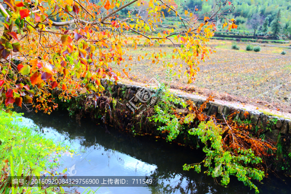 塔川秋色