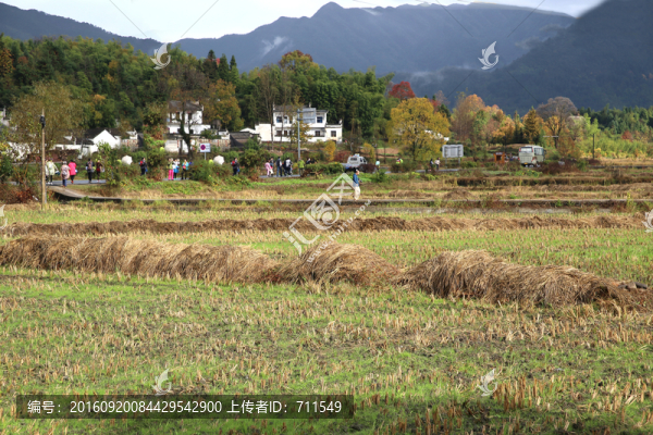 塔川田野秋景