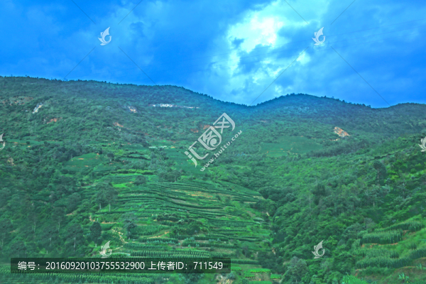 山上梯田