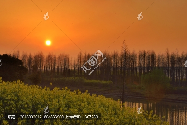 夕陽下的田園風(fēng)景