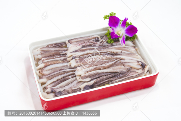 魷魚
