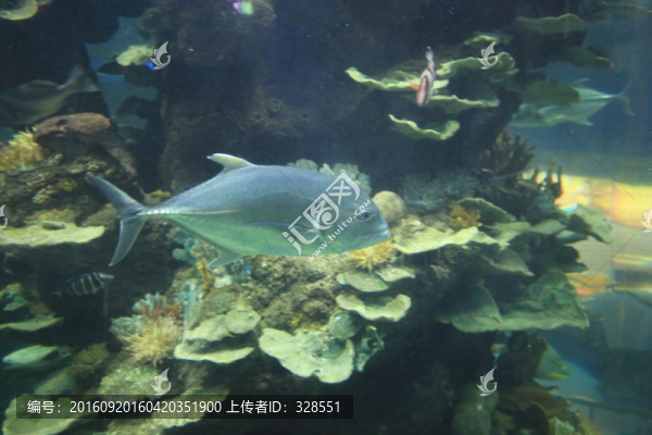 海底世界