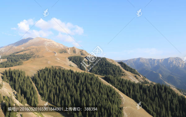 高山峻嶺