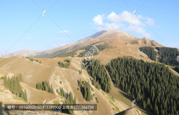 高山峻嶺