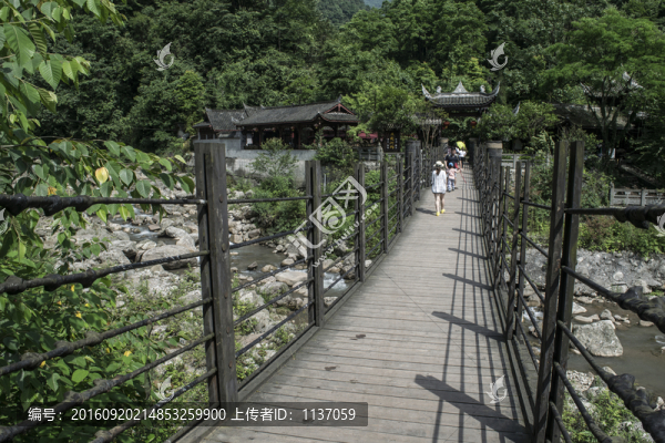 青城后山味江索橋