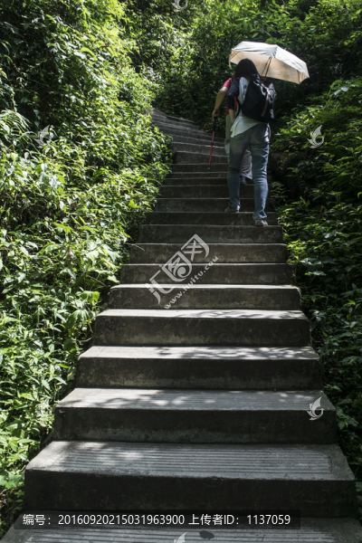 青城后山
