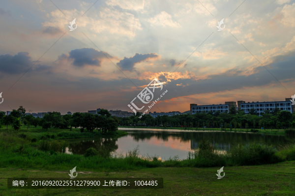 公園人工湖日落