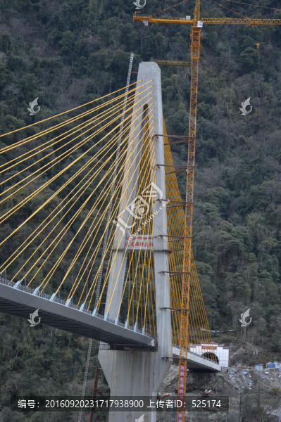 通麥大橋