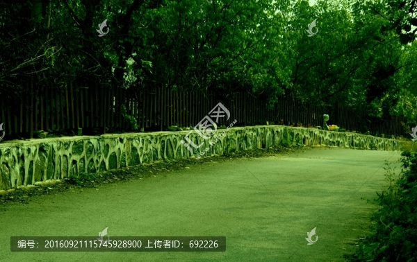 綠蔭之路