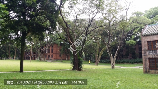 中山大學(xué)校園