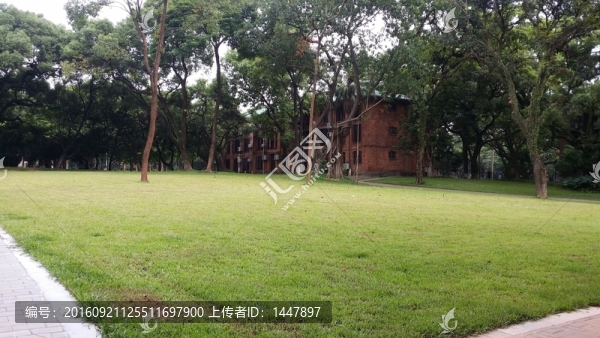 中山大學(xué)校園