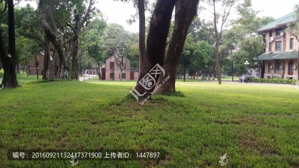 中山大學校園