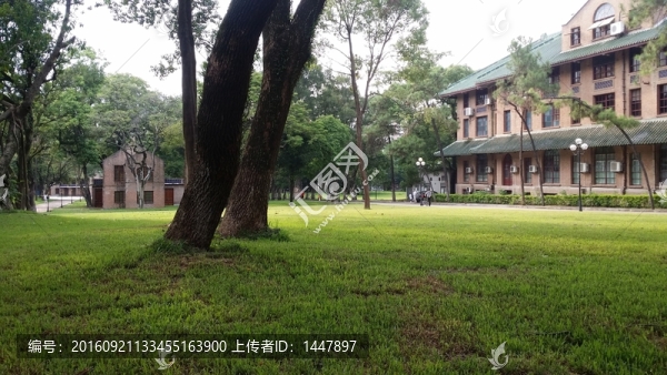 中山大學(xué)校園