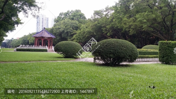 中山大學(xué)校園