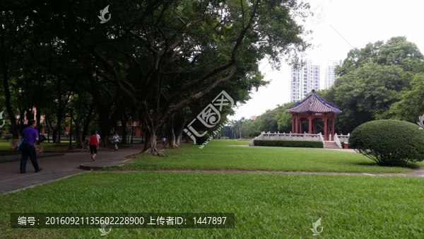 中山大學(xué)校園