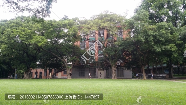 中山大學(xué)校園