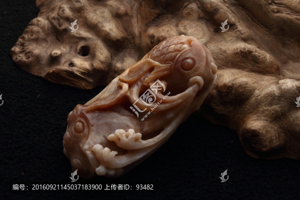 硨磲