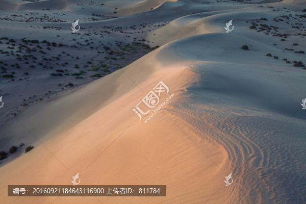 甘家湖保護(hù)區(qū)沙漠黃沙