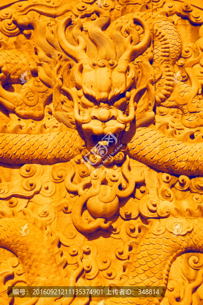 龍