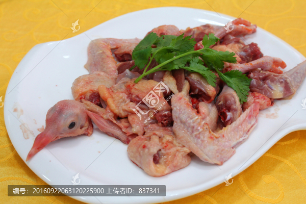 鴿子肉