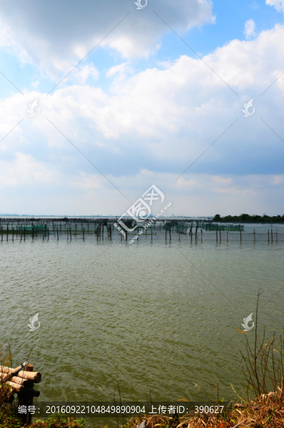 陽(yáng)澄湖大閘蟹養(yǎng)殖基地