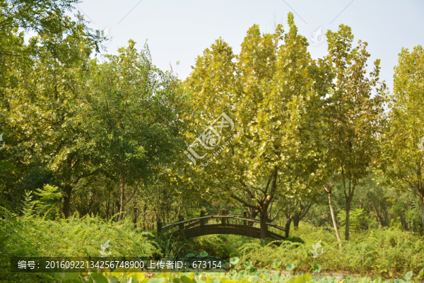秋天的公園