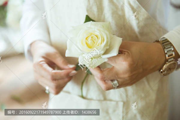 玫瑰