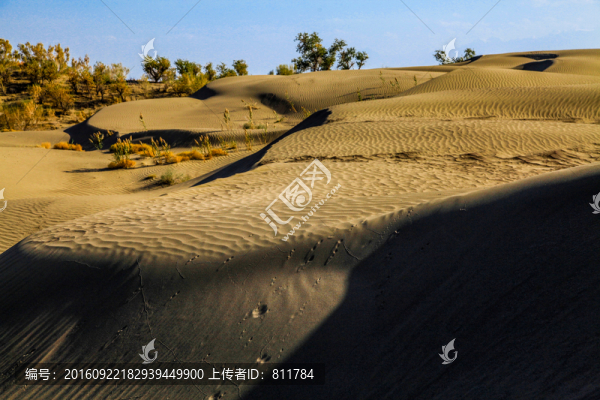 甘家湖保護(hù)區(qū)沙漠黃沙
