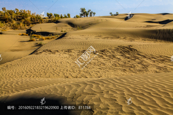 甘家湖保護(hù)區(qū)沙漠黃沙