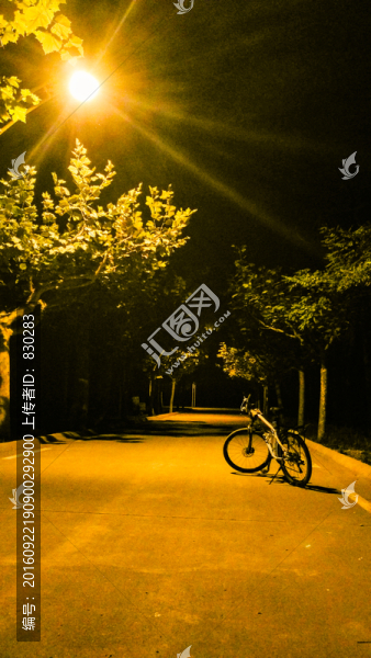 燈光下的自行車(chē)