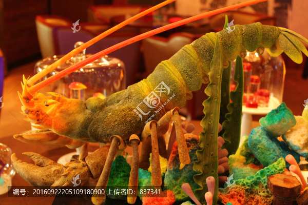 龍蝦模型