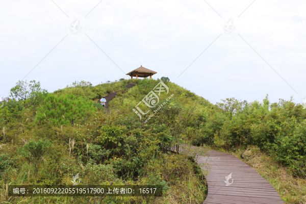 登山