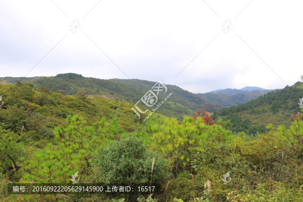 山