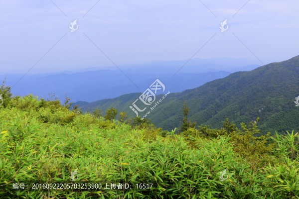 青山