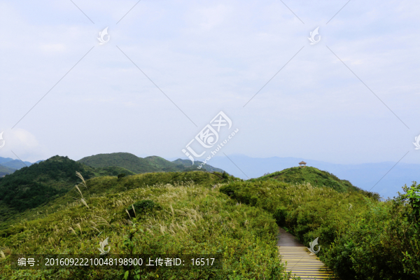 山脈,大圍山