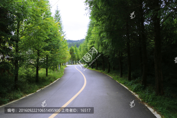 山路