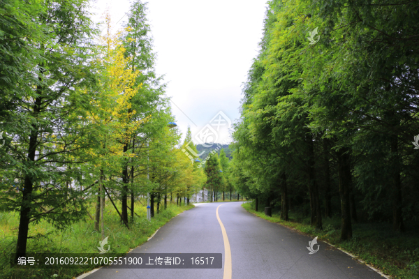 上山的公路