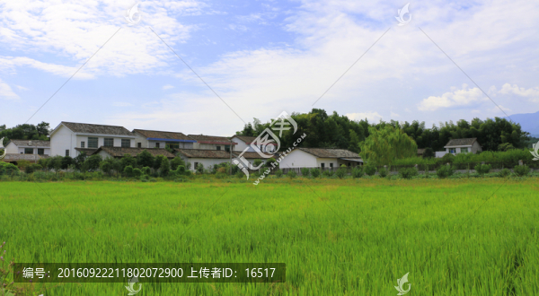 鄉(xiāng)村,村莊