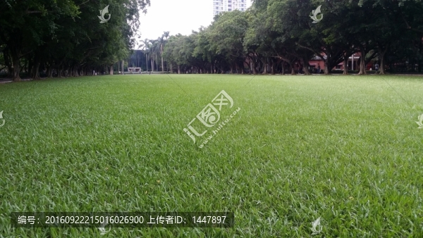 中山大學(xué)校園