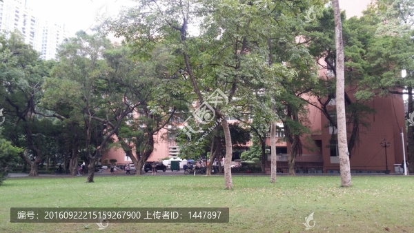 中山大學校園